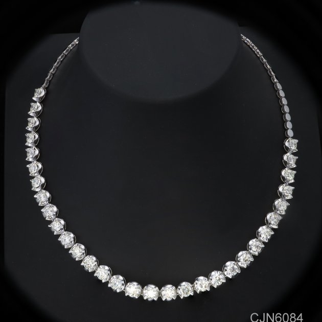 CJN6084